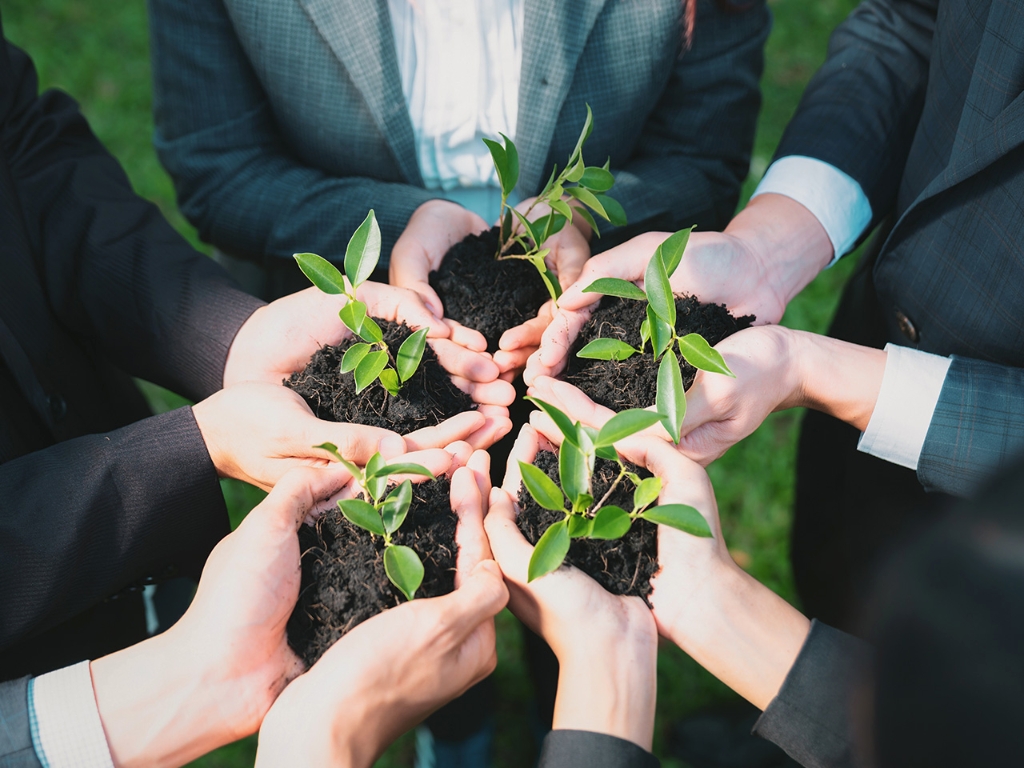 半岛最新官网_半岛online（中国）